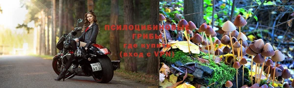 марки nbome Аркадак