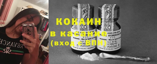 прущая мука Арсеньев