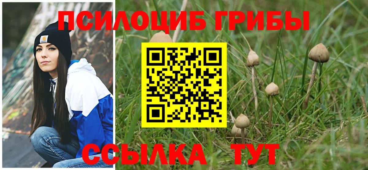 Псилоцибиновые грибы Psilocybe  Галлюциногенные грибы прущие грибы  Изобильный  Вход с VPN 