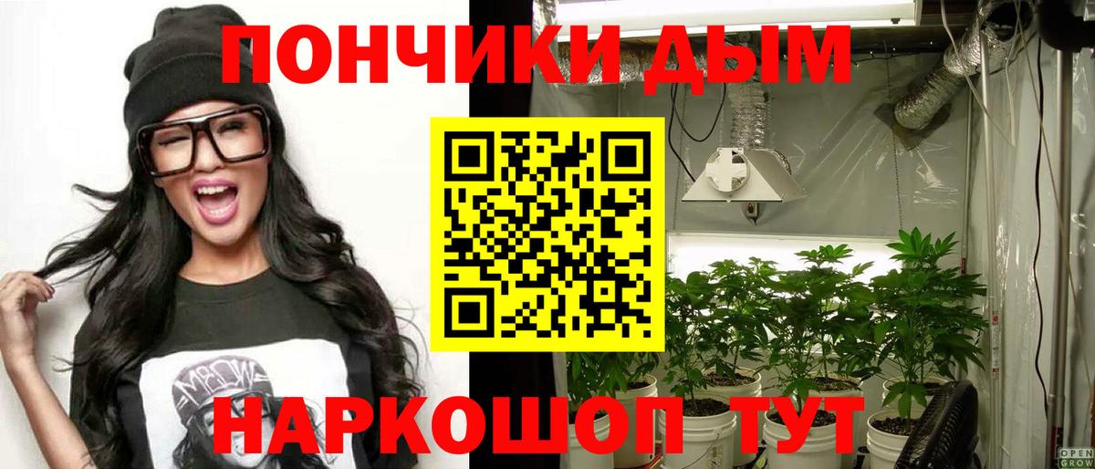 Шишки марихуана планчик Изобильный