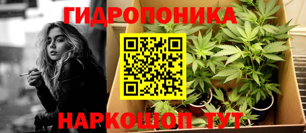 Каннабис THC 21%  Вход с VPN  Конопля Amnesia  Изобильный  МАРИХУАНА SATIVA & INDICA 